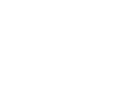 vijaylogo